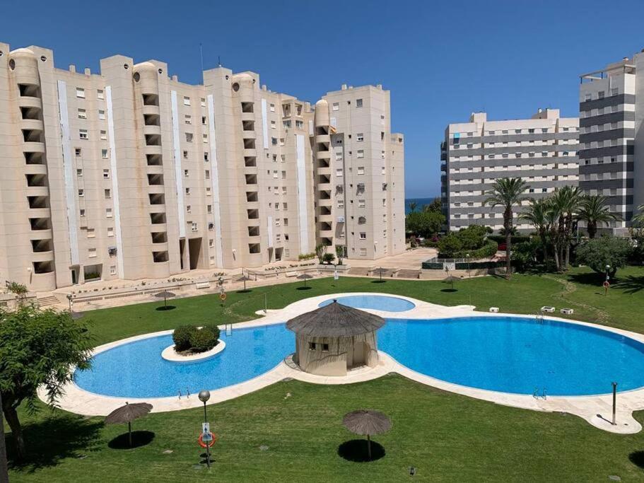 Apartamento - Playa El Campello Urbanizacion Jardin Del Mar Esterno foto